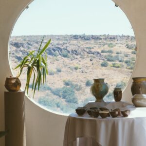 green plant on white table